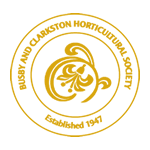 BACHS Logo