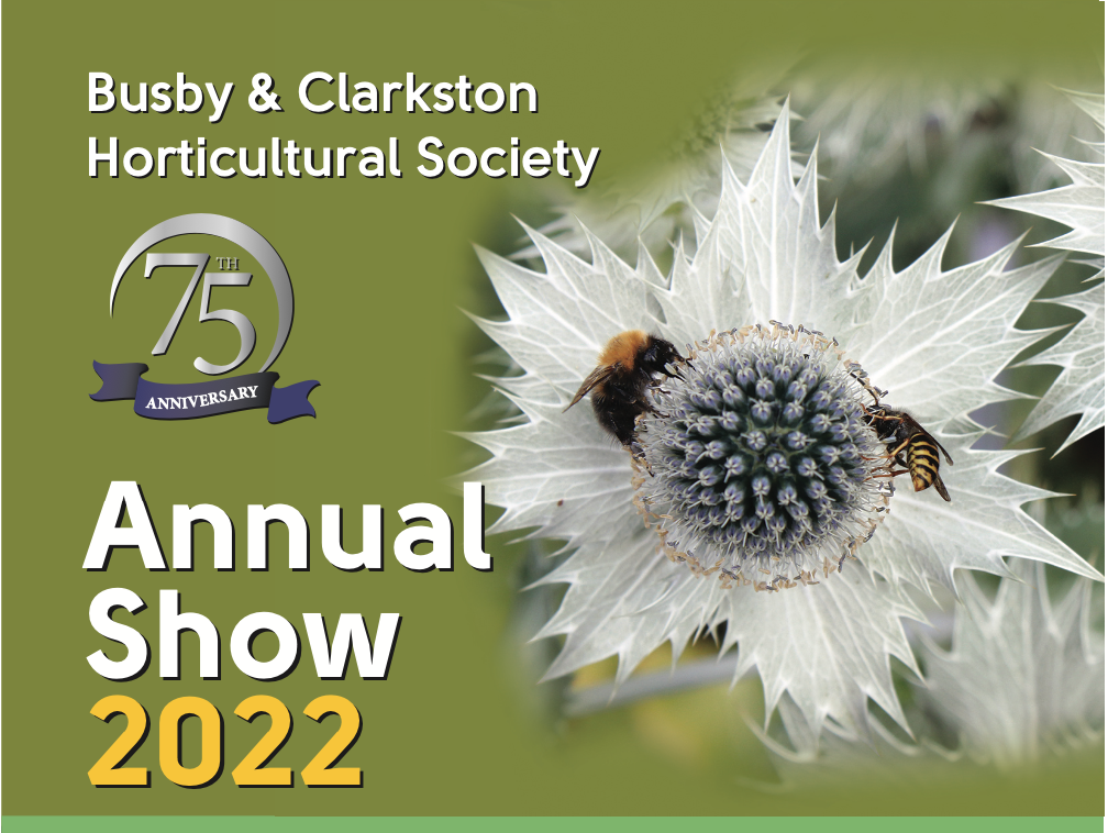 Image of annual show schedule 2022
