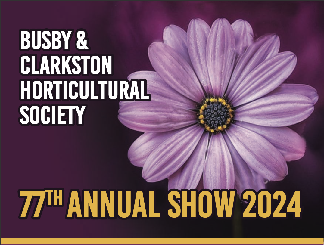Image of annual show schedule 2024