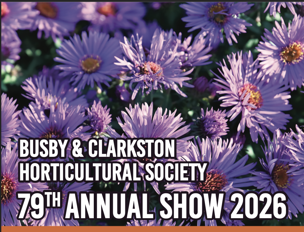 Image of annual show schedule 2025